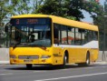 Avaliação Psicológica de Candidatos e Motoristas de Serviços Públicos